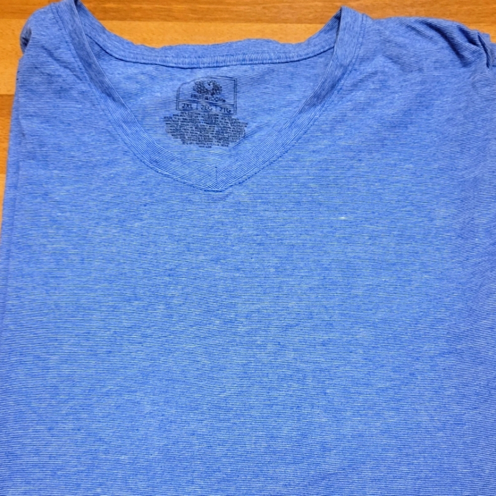 Mens' Blue V-Neck Short-Sleeved Tee